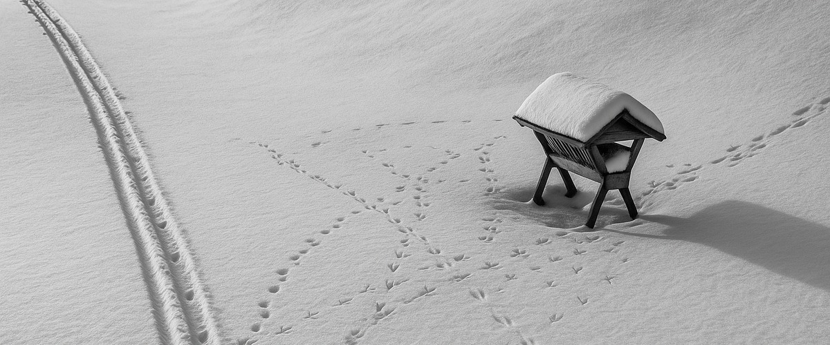 Am Ende z&auml;hlt? Ein Produkt, das liefert!